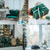      Goroshynka Studio -  .  
