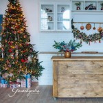      Goroshynka Studio -  .  